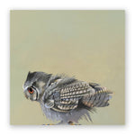 10 x 10 Scops Owl Panel Wings on Wood