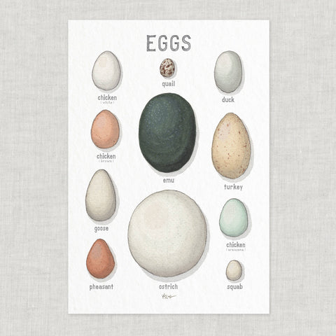 Poster: Eggs