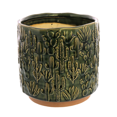 Cactus Motif Cachepot, Ceramic - Lrg - Green