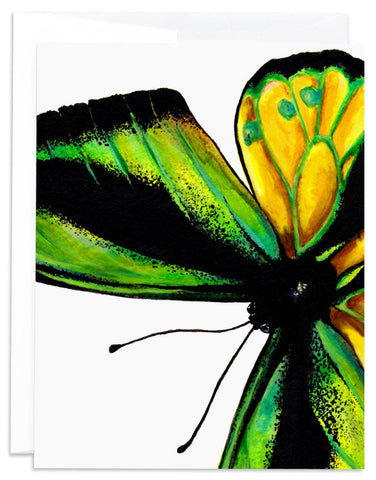 Butterfly 8 Note Card